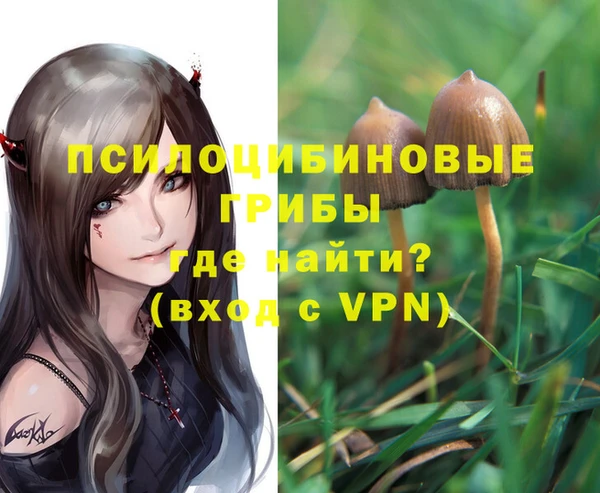 MDMA Premium VHQ Армянск