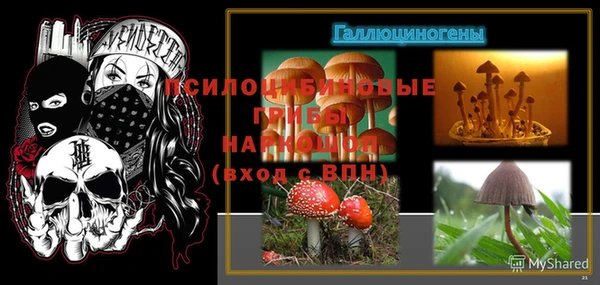 дурь Аркадак