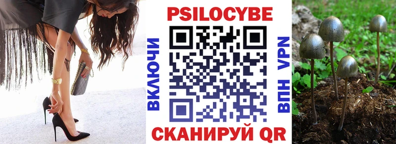 Галлюциногенные грибы GOLDEN TEACHER  наркота  Багратионовск 